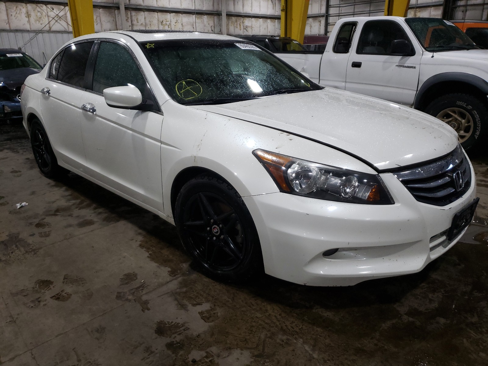 HONDA ACCORD EXL 2011 1hgcp3f81ba010185