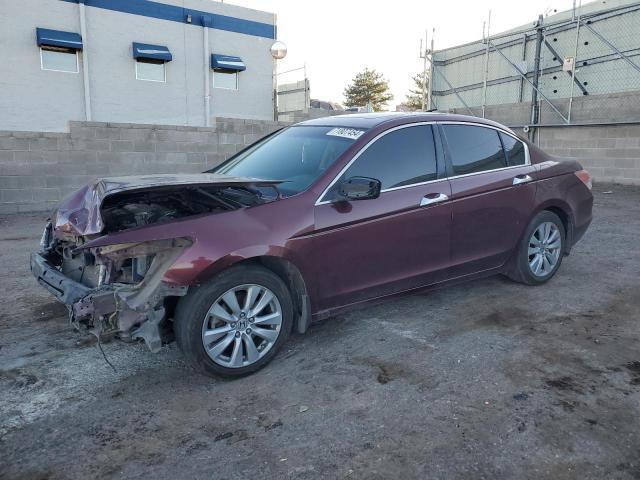 HONDA ACCORD EXL 2011 1hgcp3f81ba010221