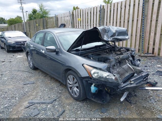 HONDA ACCORD 2011 1hgcp3f81ba012048