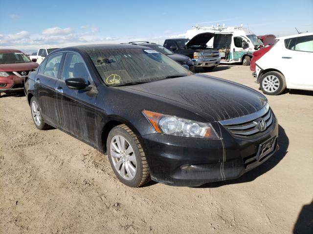 HONDA ACCORD EXL 2011 1hgcp3f81ba012776