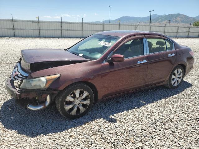 HONDA ACCORD EXL 2011 1hgcp3f81ba013071