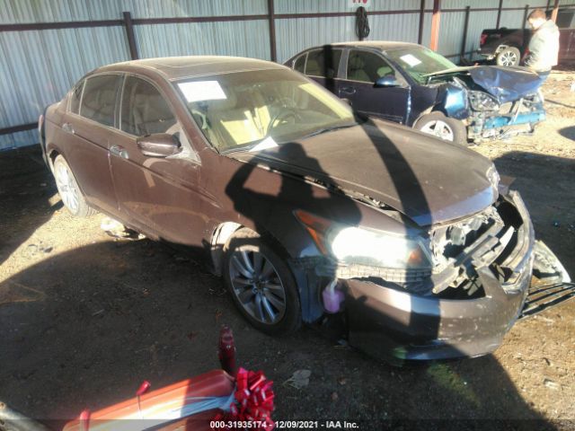 HONDA ACCORD 2011 1hgcp3f81ba013412