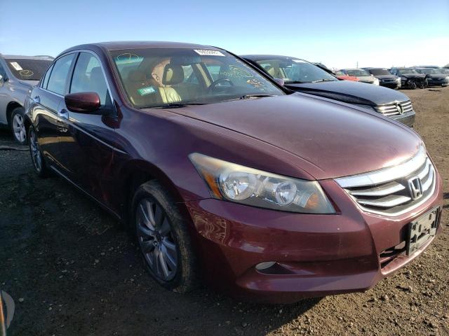 HONDA ACCORD EXL 2011 1hgcp3f81ba013863