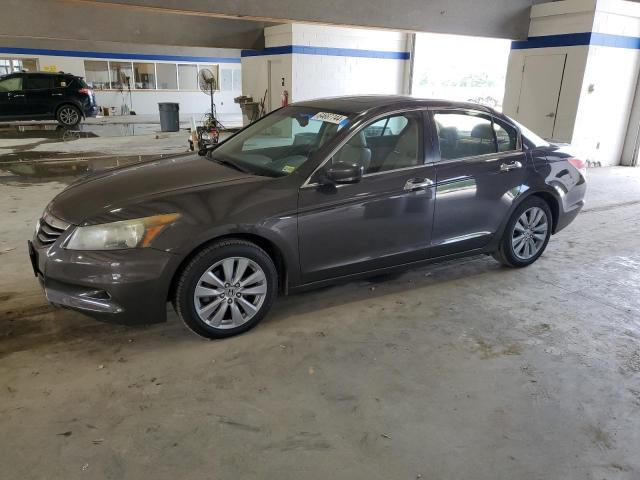 HONDA ACCORD 2011 1hgcp3f81ba016486