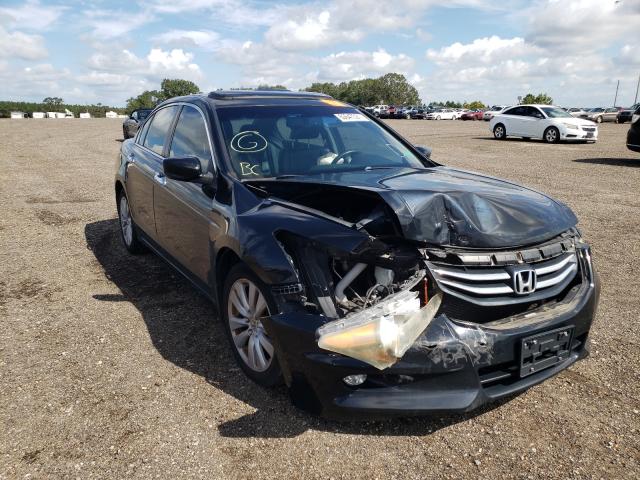 HONDA ACCORD EXL 2011 1hgcp3f81ba017170