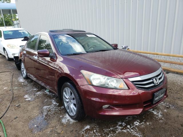 HONDA ACCORD EXL 2011 1hgcp3f81ba017248