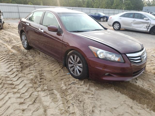 HONDA ACCORD EXL 2011 1hgcp3f81ba017265