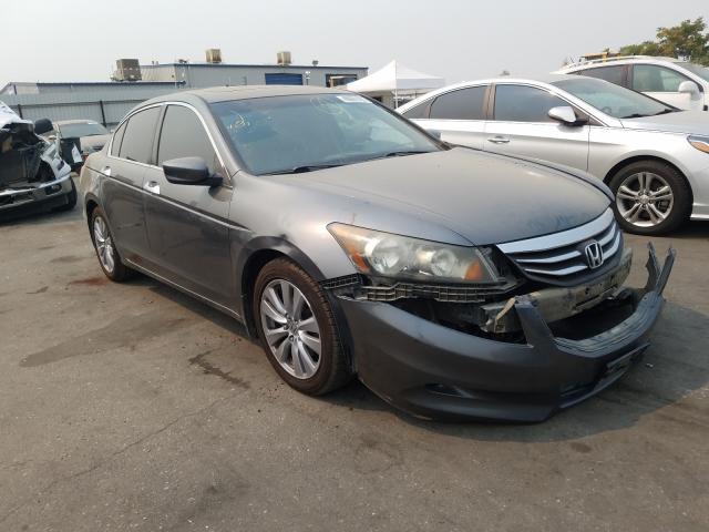 HONDA ACCORD EXL 2011 1hgcp3f81ba017377