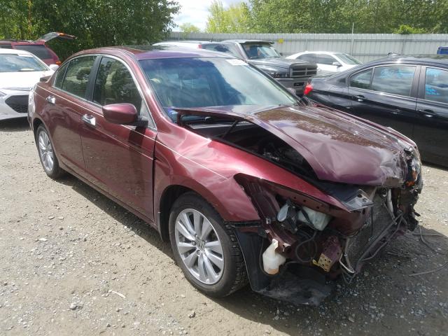 HONDA ACCORD EXL 2011 1hgcp3f81ba018593