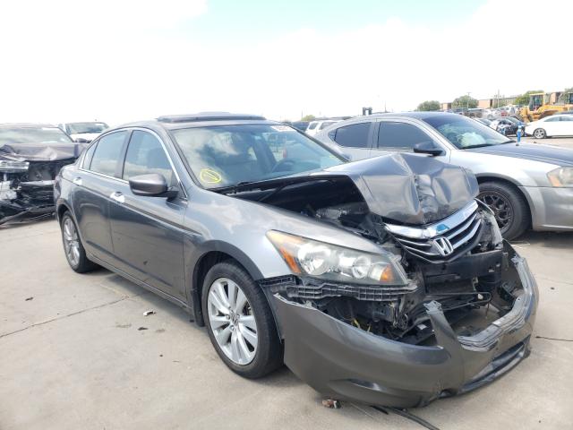 HONDA ACCORD EXL 2011 1hgcp3f81ba020165