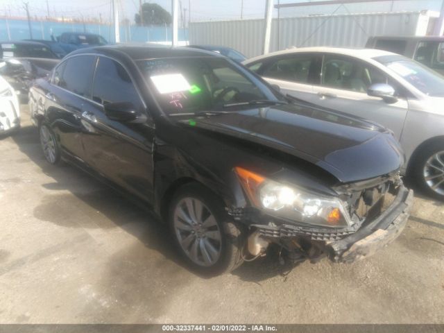 HONDA ACCORD SDN 2011 1hgcp3f81ba022174