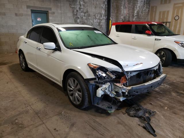 HONDA ACCORD EXL 2011 1hgcp3f81ba023227