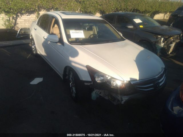 HONDA ACCORD SDN 2011 1hgcp3f81ba025401