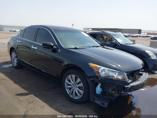 HONDA ACCORD 2011 1hgcp3f81ba026287