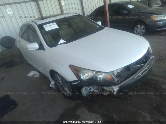 HONDA ACCORD SDN 2011 1hgcp3f81ba026502