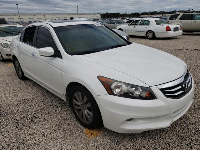 HONDA ACCORD EXL 2011 1hgcp3f81ba027309