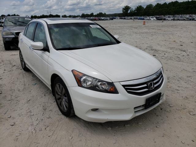 HONDA ACCORD EXL 2011 1hgcp3f81ba027598