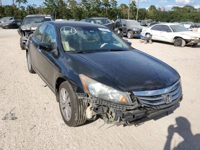 HONDA ACCORD EXL 2011 1hgcp3f81ba029092