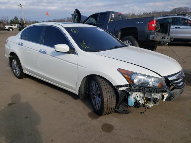 HONDA ACCORD EXL 2011 1hgcp3f81ba029786