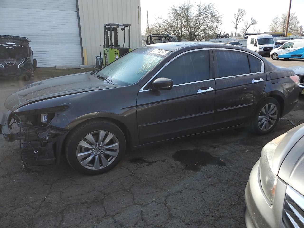 HONDA ACCORD 2011 1hgcp3f81ba030176