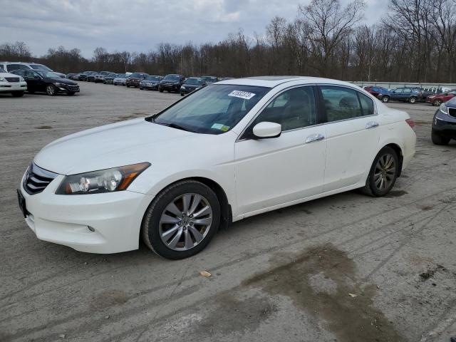 HONDA ACCORD EXL 2011 1hgcp3f81ba031554