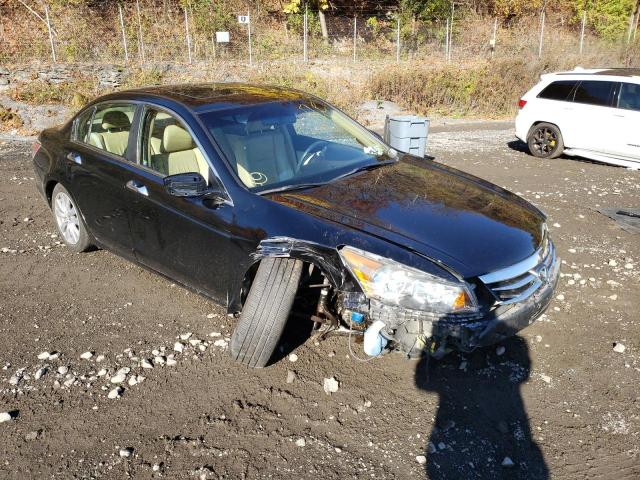 HONDA ACCORD EXL 2011 1hgcp3f81ba031683