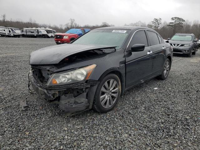 HONDA ACCORD EXL 2011 1hgcp3f81ba031702