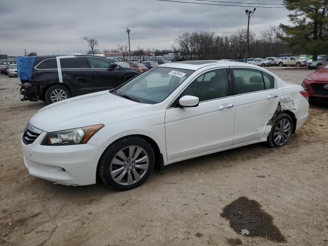 HONDA ACCORD 2011 1hgcp3f81ba031778