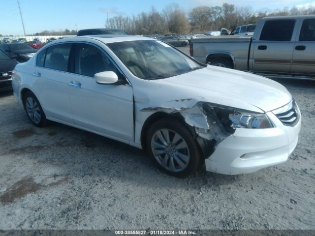 HONDA ACCORD 2011 1hgcp3f81ba032395