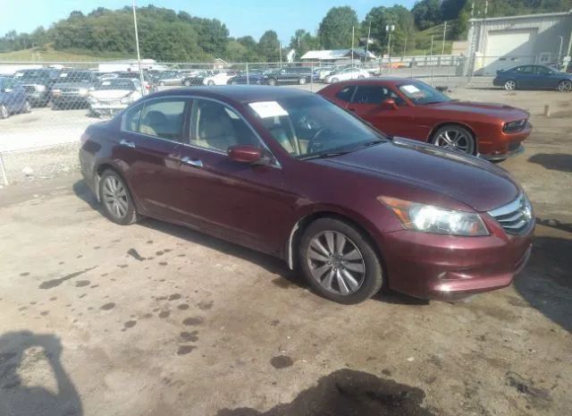 HONDA ACCORD SDN 2012 1hgcp3f81ca008194