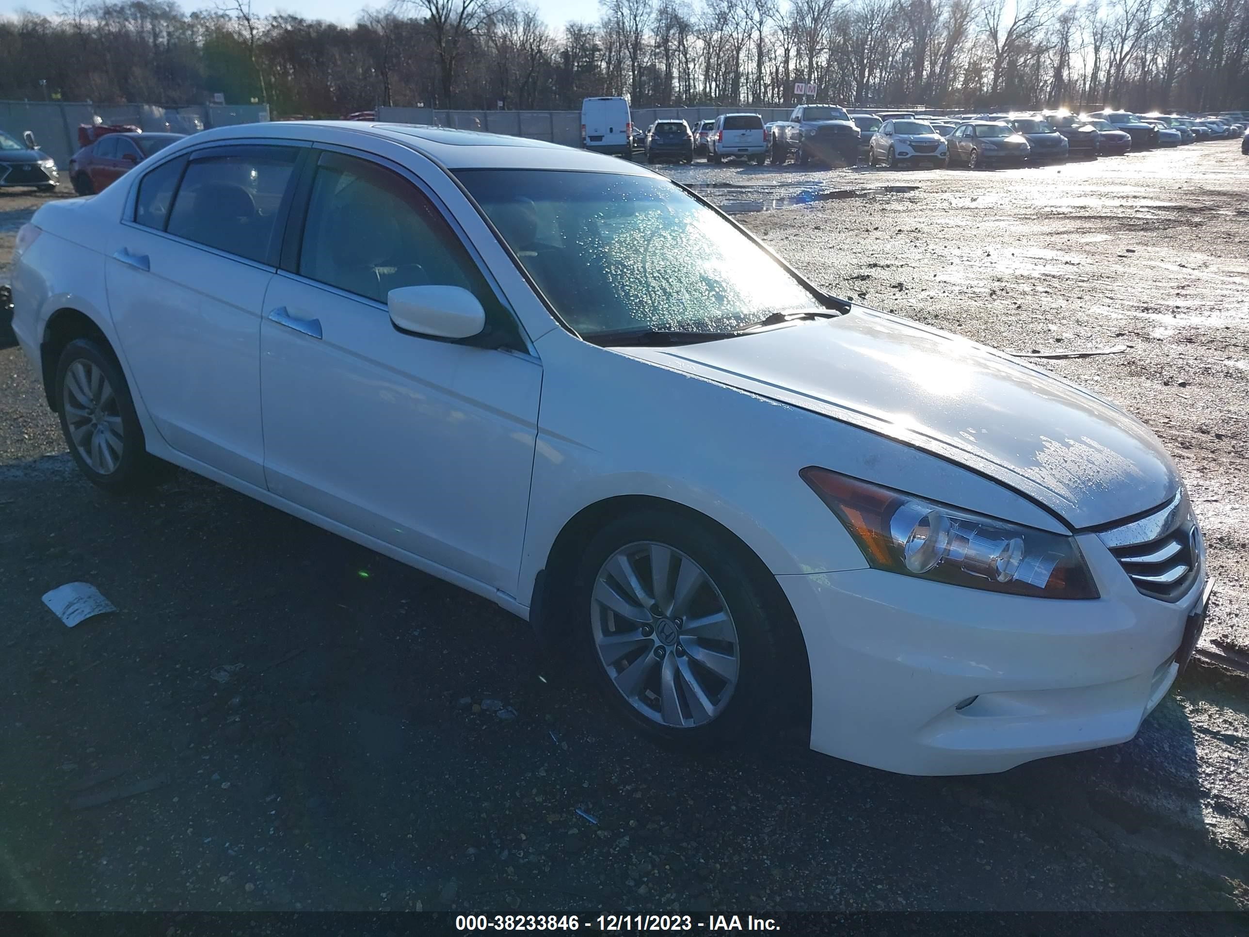 HONDA ACCORD 2012 1hgcp3f81ca008843