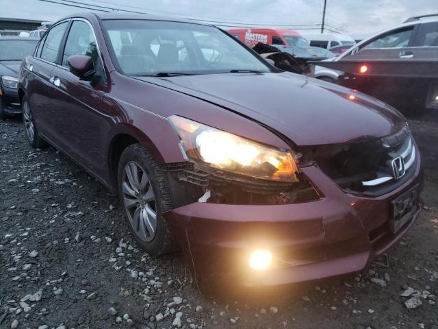 HONDA ACCORD EXL 2012 1hgcp3f81ca019308