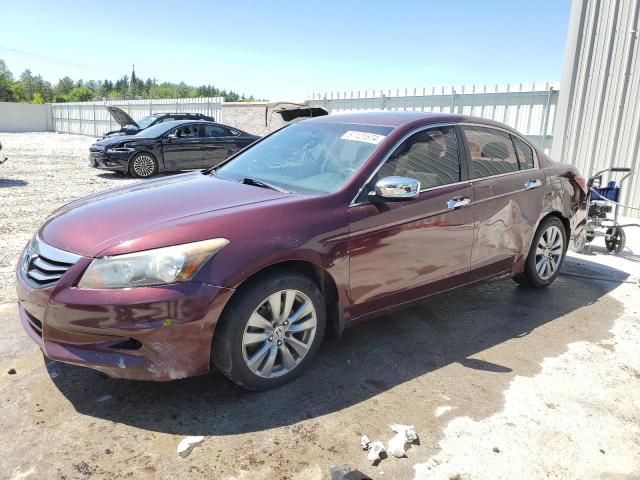 HONDA ACCORD 2012 1hgcp3f81ca024895