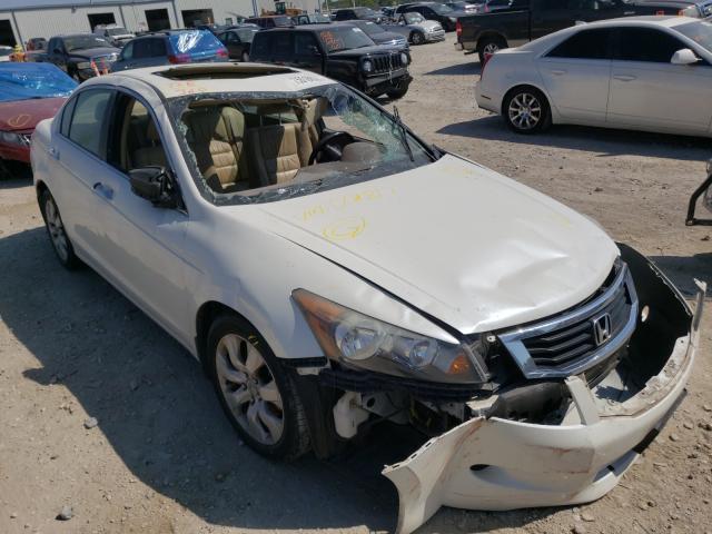 HONDA ACCORD EXL 2010 1hgcp3f82aa001817