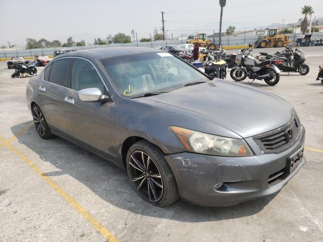 HONDA ACCORD EXL 2010 1hgcp3f82aa002952