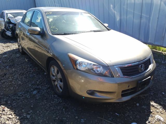 HONDA ACCORD EXL 2010 1hgcp3f82aa005351