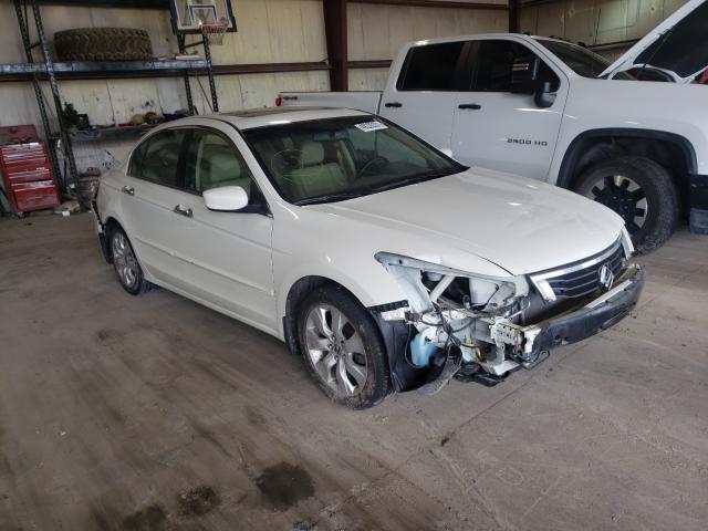 HONDA ACCORD EXL 2010 1hgcp3f82aa005530