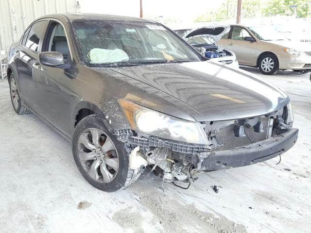 HONDA ACCORD EXL 2010 1hgcp3f82aa010257