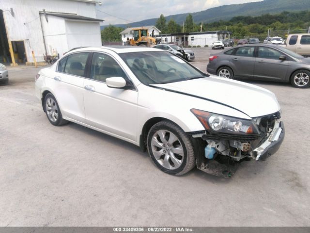 HONDA ACCORD SDN 2010 1hgcp3f82aa011618