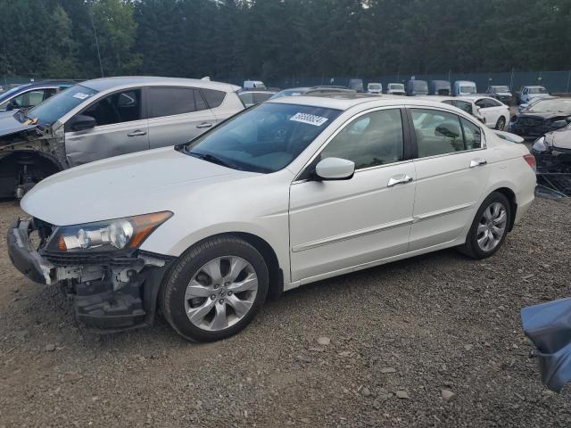 HONDA ACCORD EXL 2010 1hgcp3f82aa014552