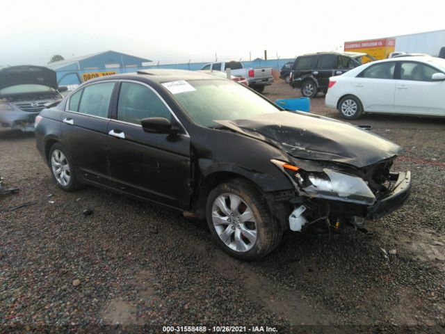 HONDA ACCORD SDN 2010 1hgcp3f82aa015538