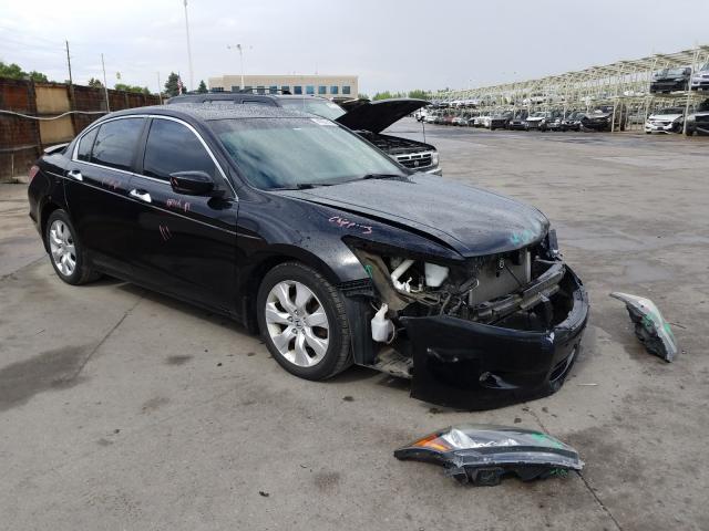 HONDA ACCORD EXL 2010 1hgcp3f82aa018925