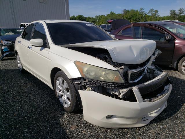 HONDA ACCORD EXL 2010 1hgcp3f82aa020352