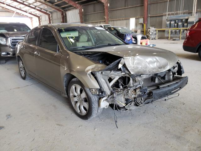 HONDA ACCORD EXL 2010 1hgcp3f82aa023574