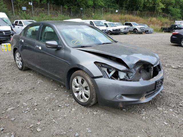 HONDA ACCORD EXL 2010 1hgcp3f82aa024367