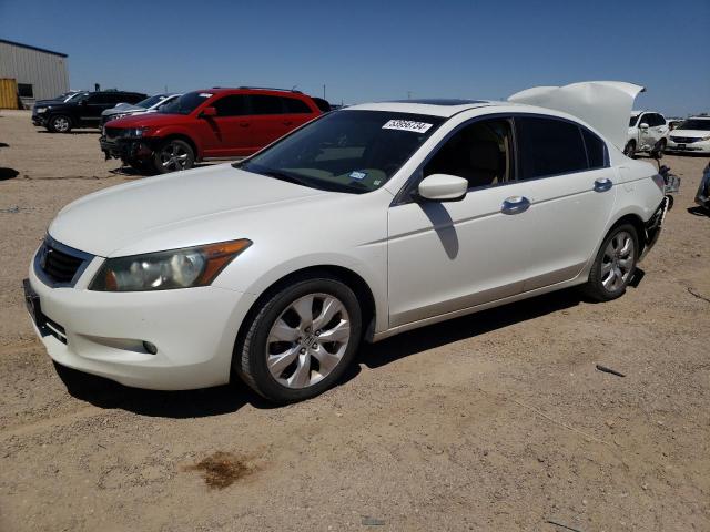 HONDA ACCORD 2010 1hgcp3f82aa024854