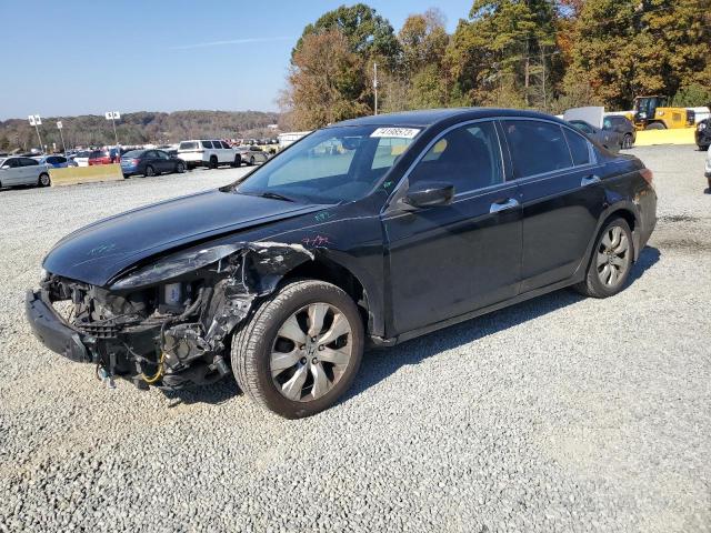 HONDA ACCORD 2010 1hgcp3f82aa025051