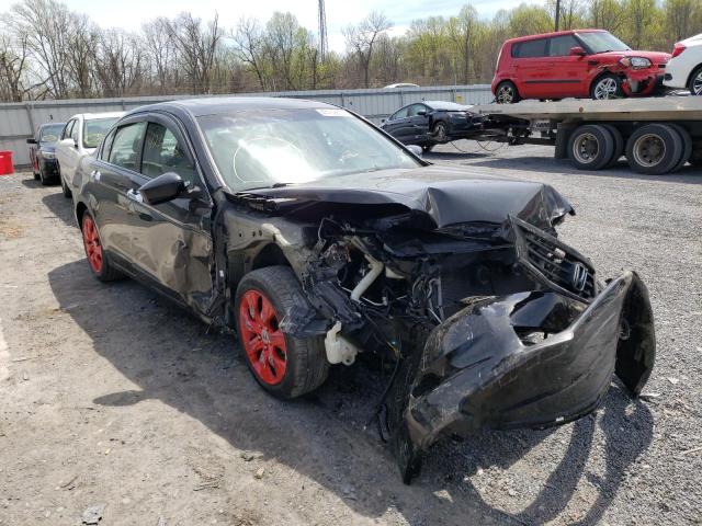 HONDA ACCORD EXL 2010 1hgcp3f82aa025468