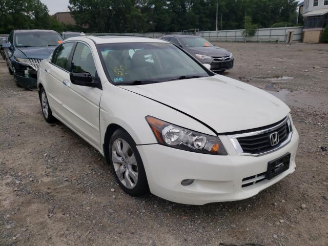 HONDA ACCORD EXL 2010 1hgcp3f82aa026362