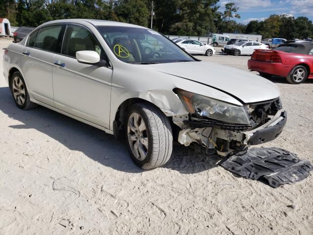 HONDA ACCORD EXL 2010 1hgcp3f82aa026412